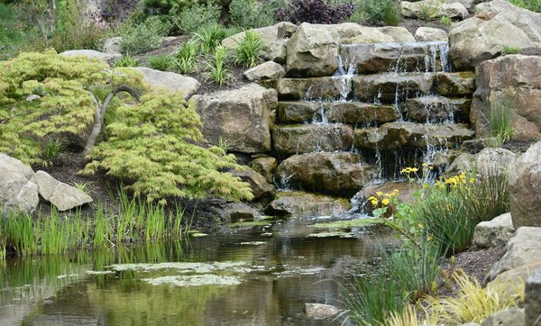 Come scegliere l'arredo per un giardino roccioso che richieda minima manutenzione?